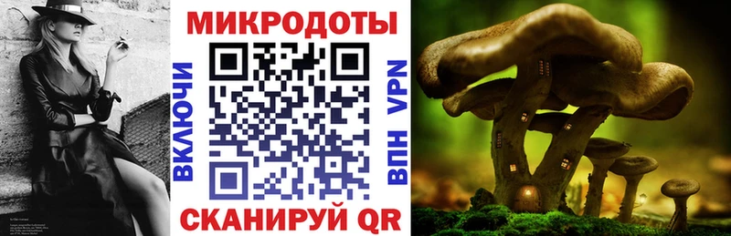 Купить где  Карабаново  Галлюциногенные грибы мицелий 